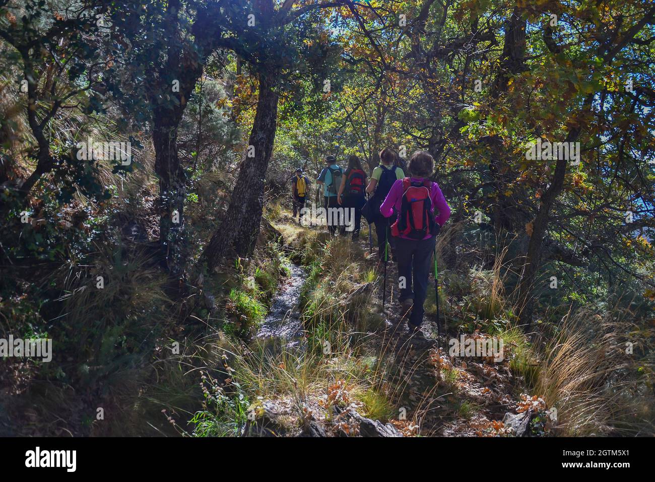hikers walking along the Almiar canal in an autumn forest in the Alpujarra Stock Photo