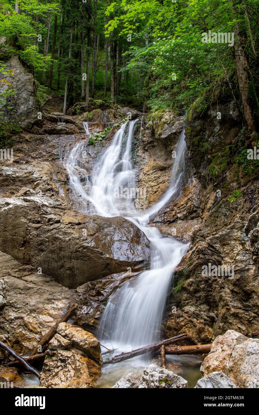 Long exposure of the Laibach waterfalls in spring time with trees in the background, portrait format. Stock Photo