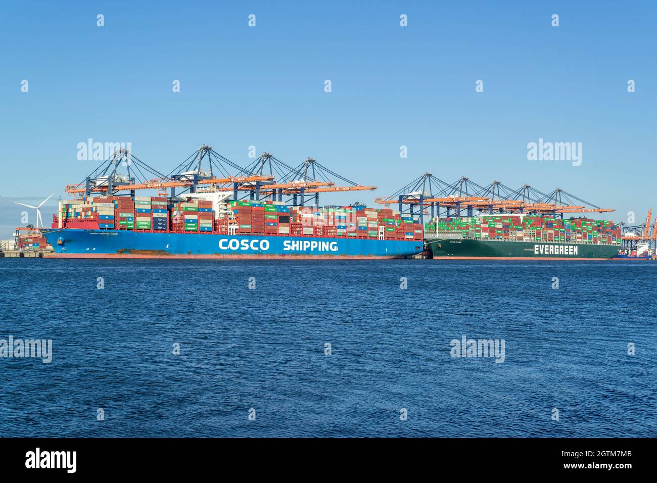 container ships COSCO SHIPPING VIRGO and EVER GLOBE moored at the Euromax Terminal. Stock Photo