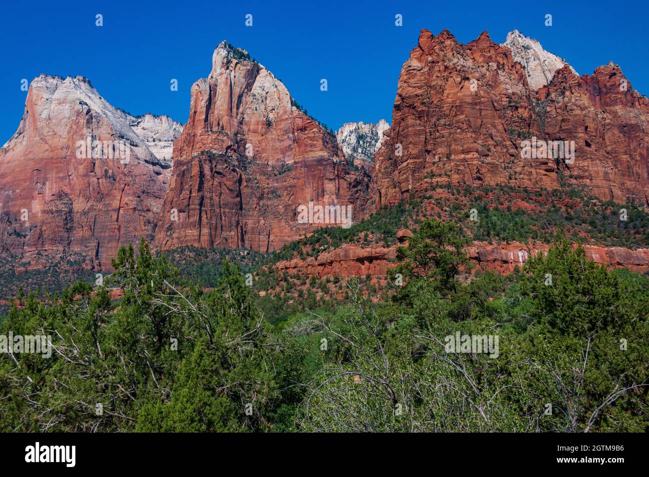 The Patriarchs of Zion National park Stock Photo