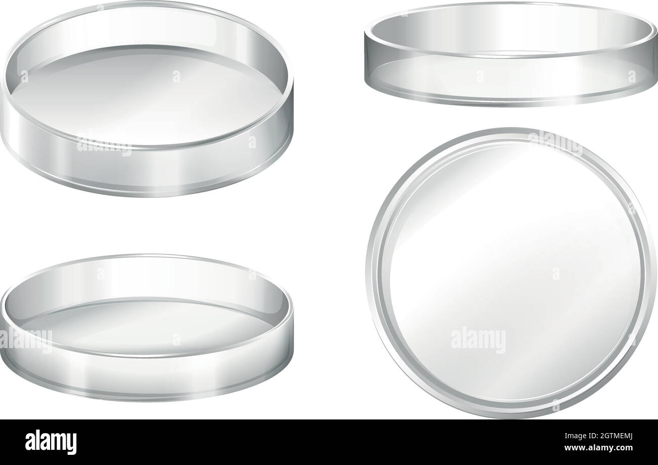 Petri dish drawing Stock Vector Images Alamy