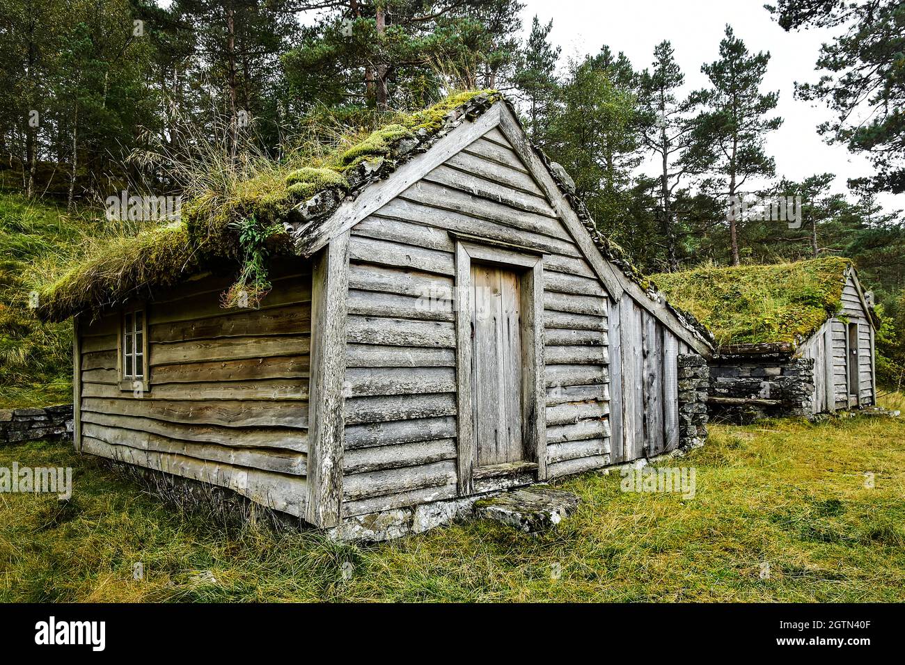 old Norwegian houses, grass and moss on the roof Stock Photo Alamy
