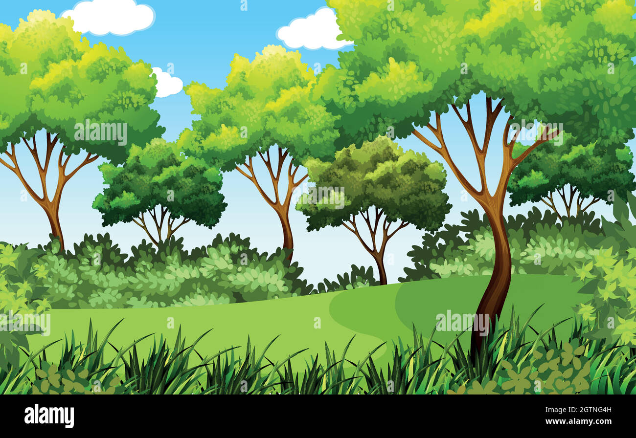 green outdoor park scene Stock Vector Image & Art - Alamy