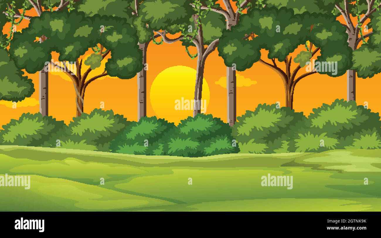 Blank nature park landscape at sunset scene Stock Vector Image & Art ...
