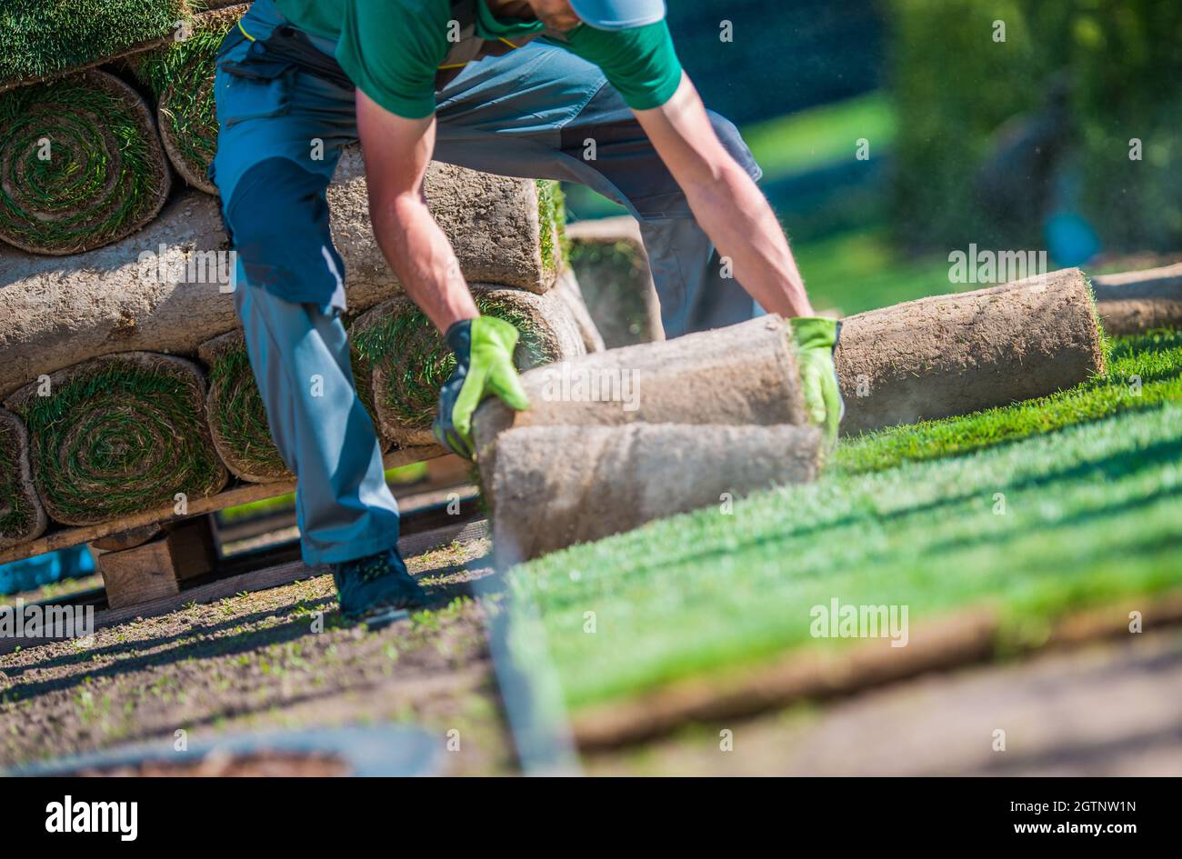 Rolling back the years hires stock photography and images Alamy
