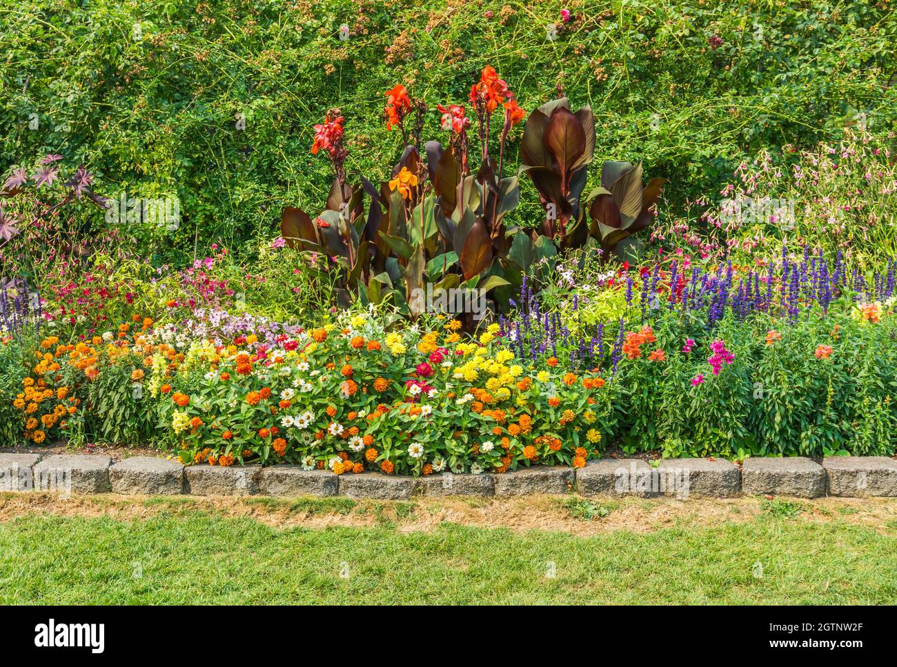 A cluster of various flowers at Point Defiance Park in Washington Stock Photo Alamy