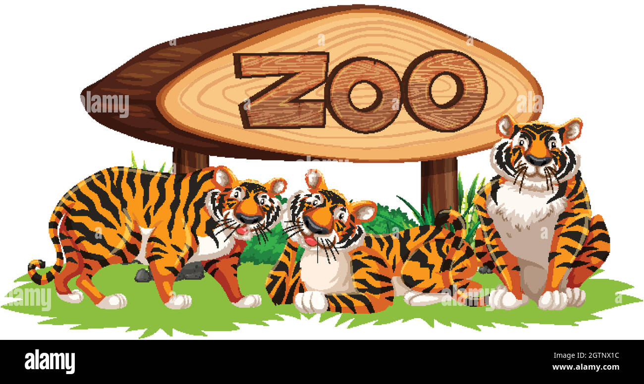 Tiger with zoo baner Stock Vector Image & Art - Alamy