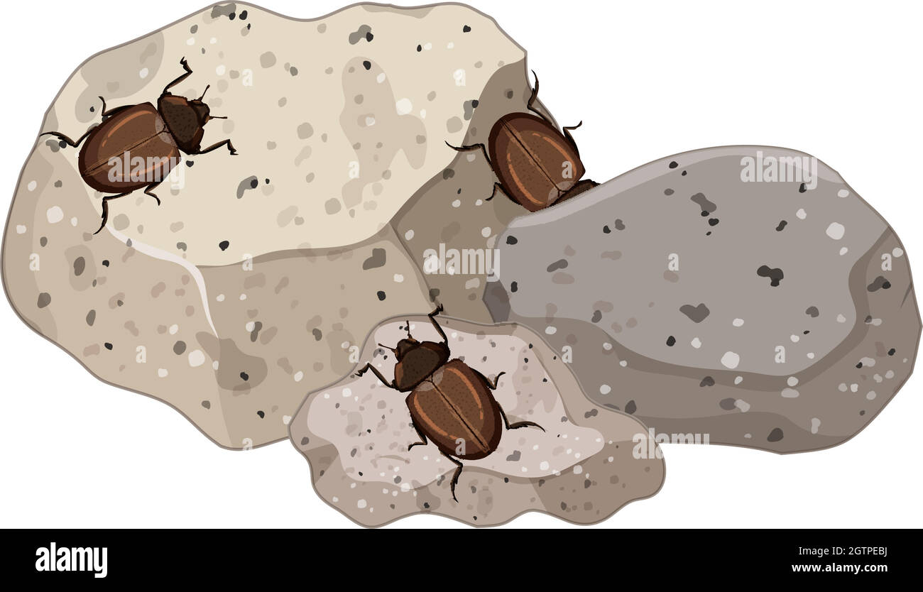 Top view of insects on stones leaf isolated Stock Vector