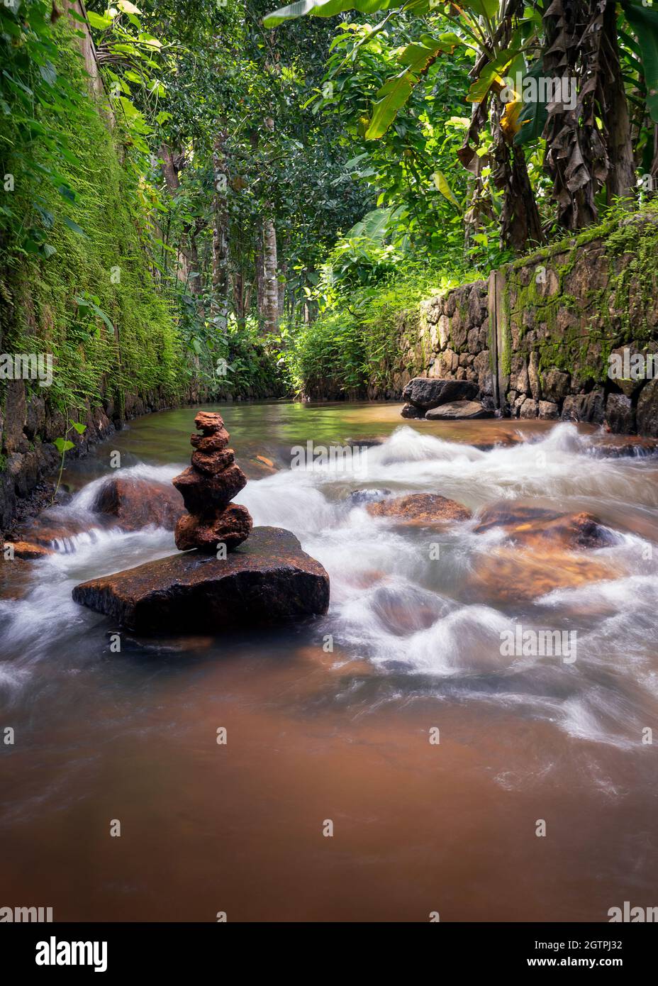 Pristine waters flowing through a forest stream Stock Photo