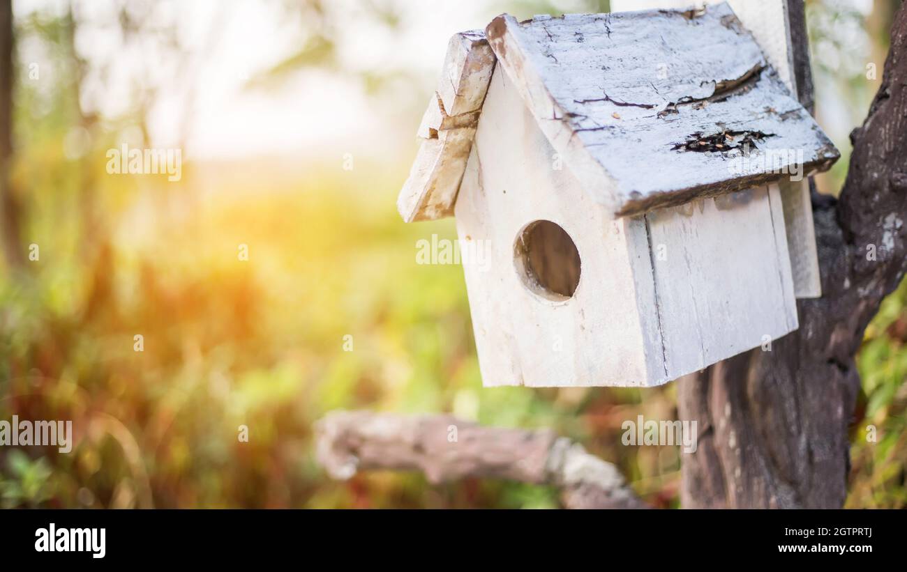 Thailand birdhouse hires stock photography and images Alamy