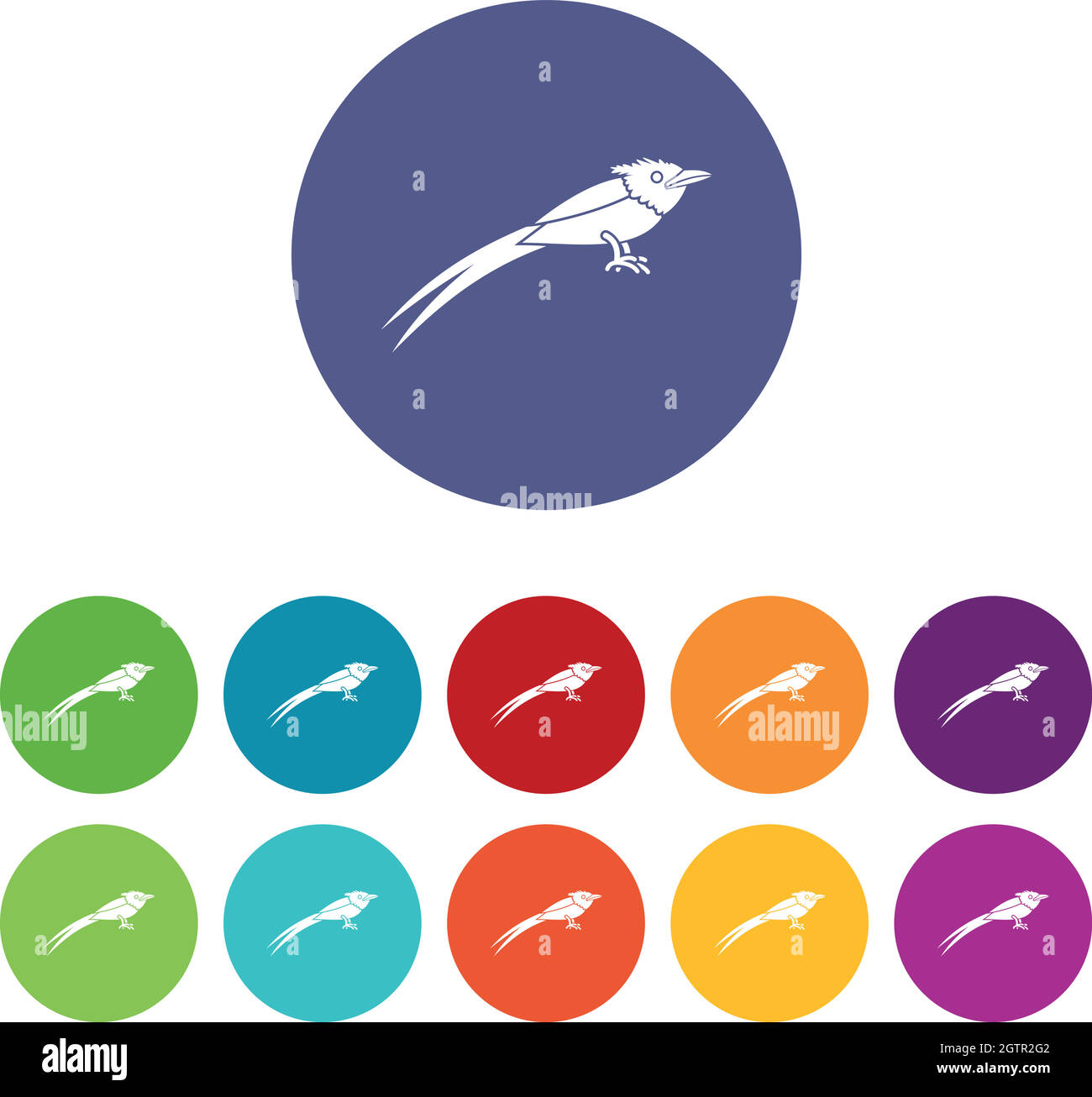Asian paradise flycatcher set icons Stock Vector