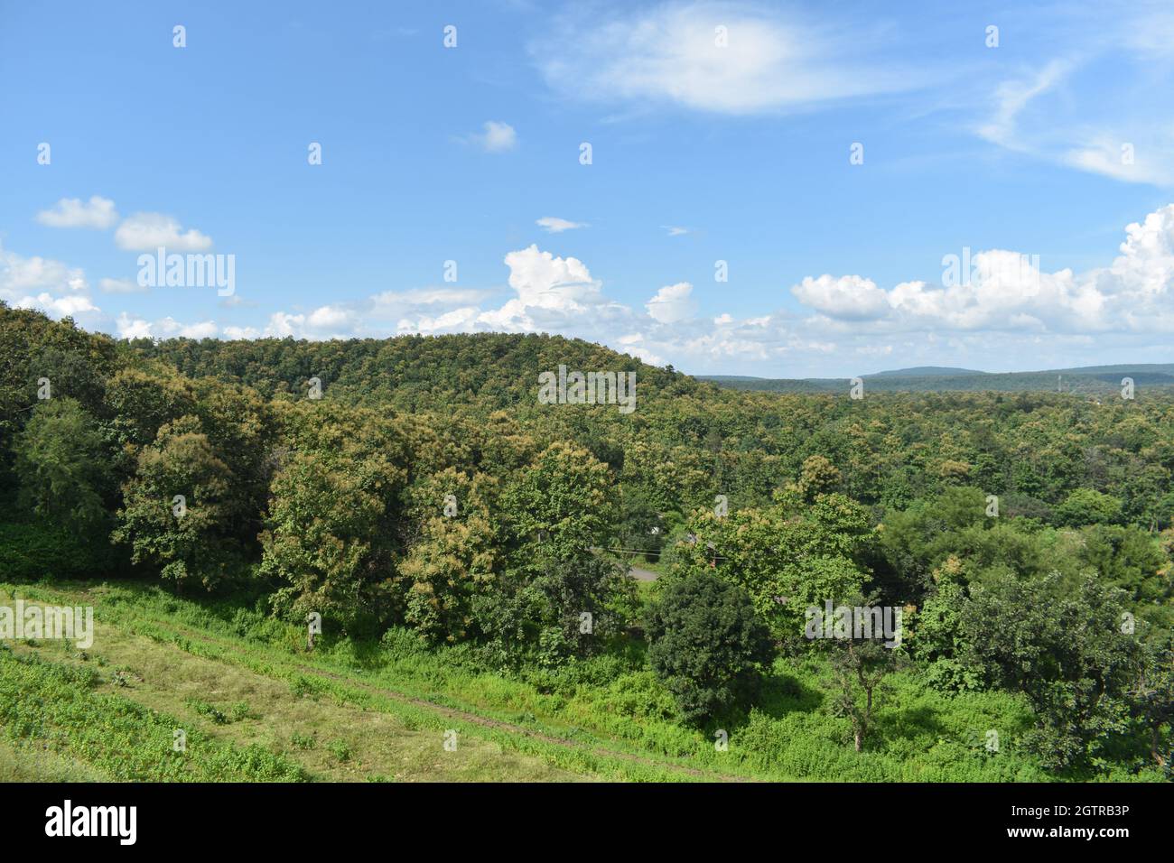 Natural beauty in bhopal madhya pradesh Stock Photo Alamy