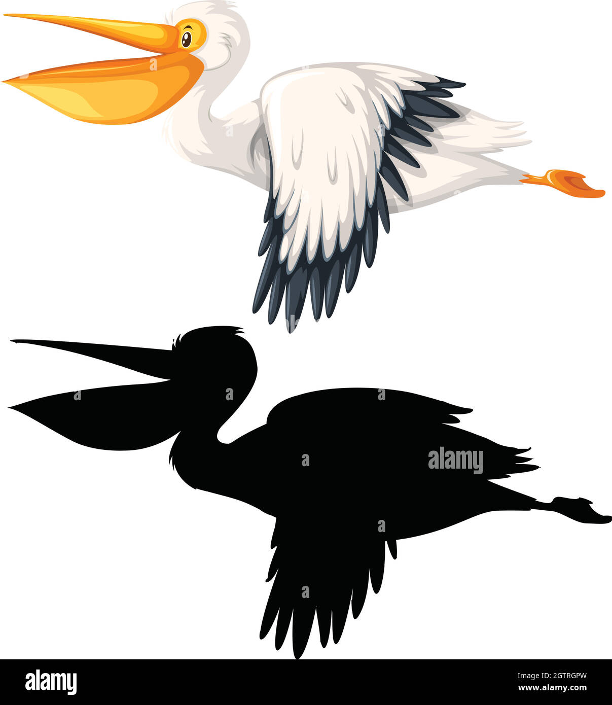Set of pelican concept Stock Vector