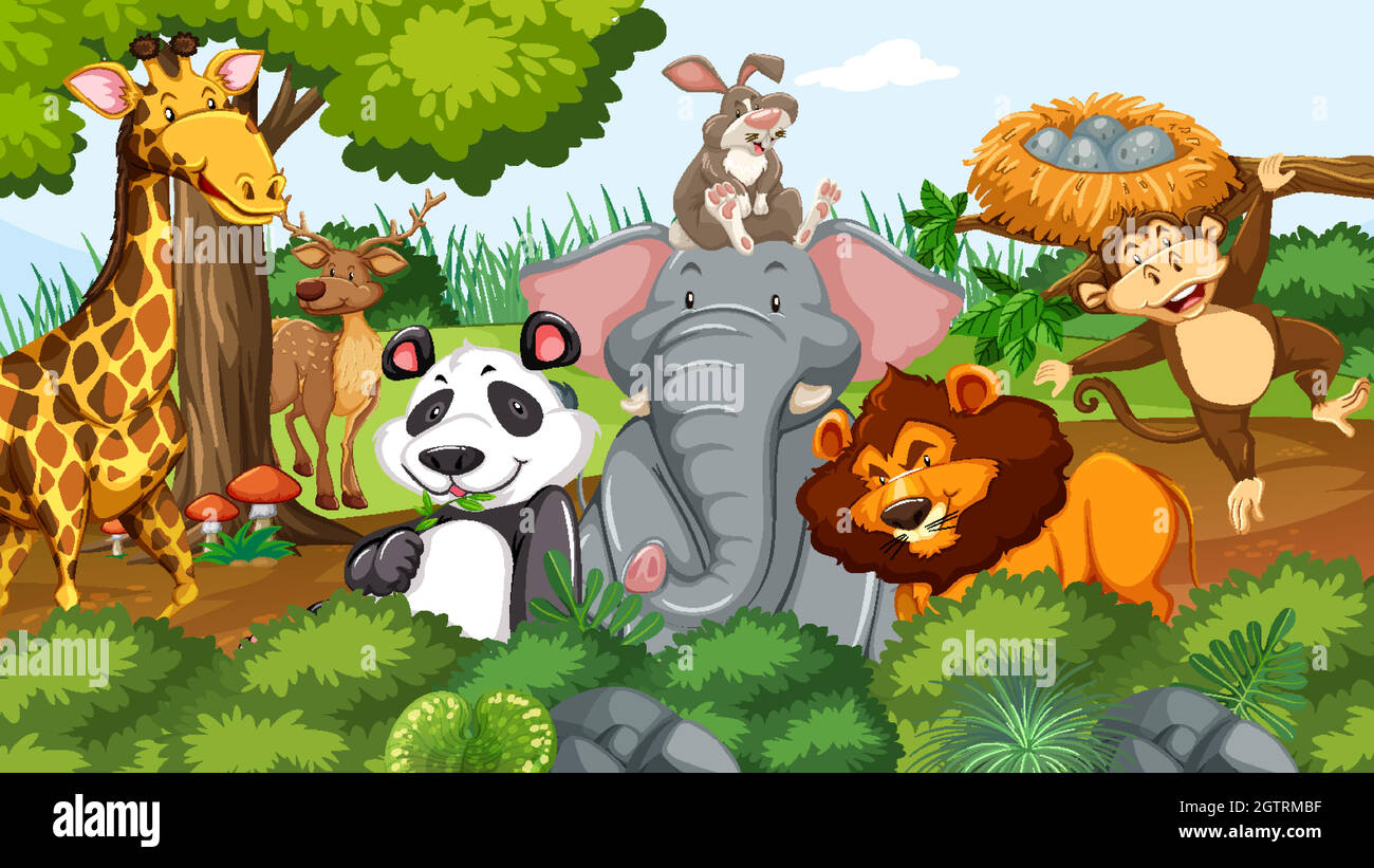 Wild animals in the jungle Stock Vector Image & Art - Alamy