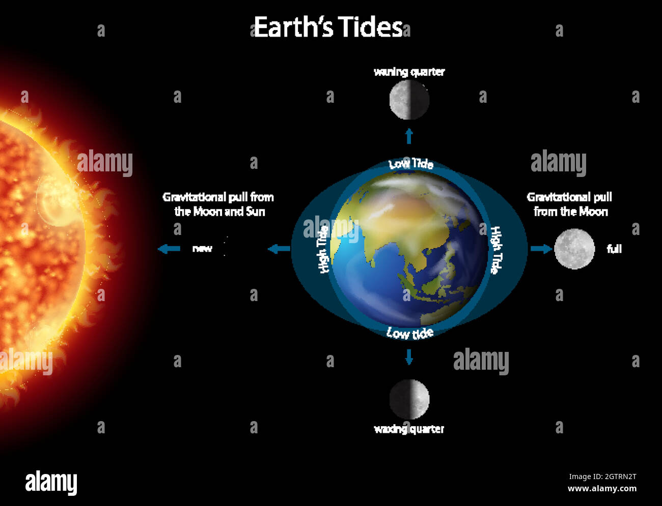 Diagram showing earth tides Stock Vector