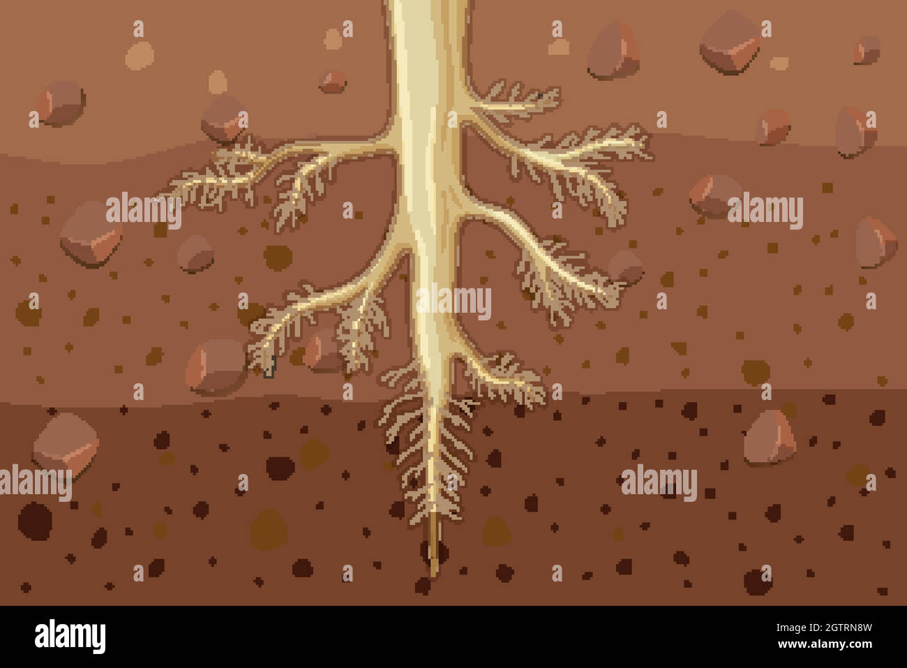 Close up of plant roots in soil Stock Vector
