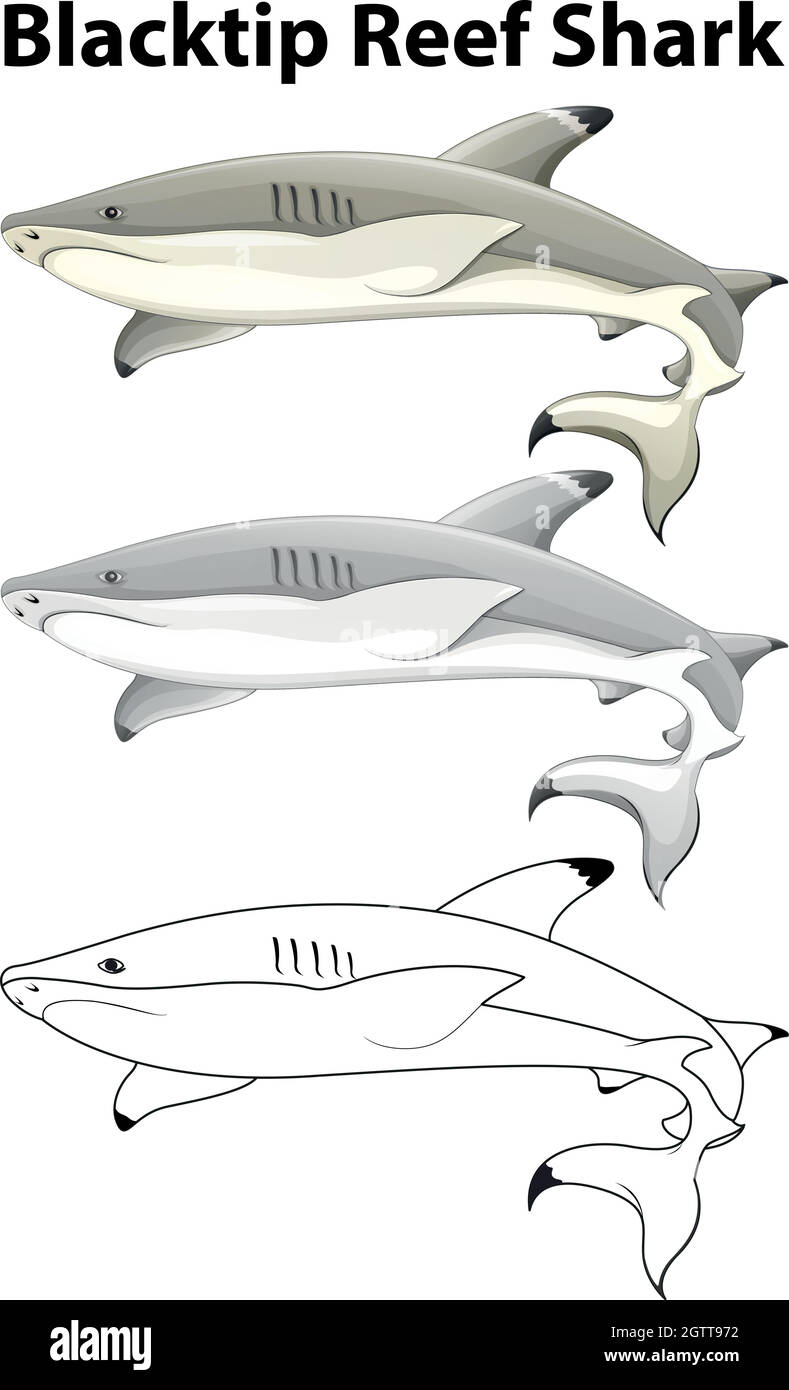 Doodle animal for blacktip reef shark Stock Vector