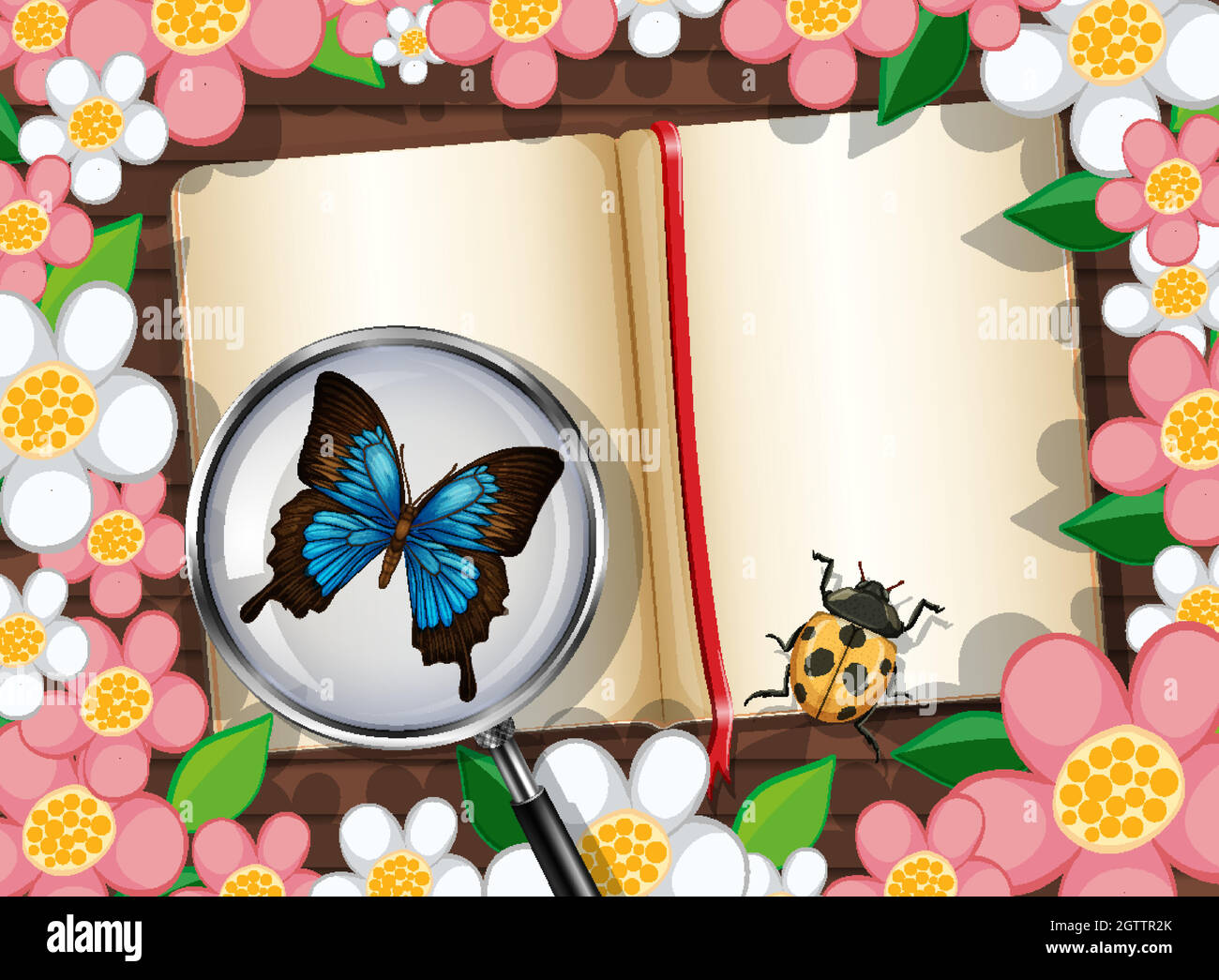 Top view flower frame Stock Vector Images Alamy Top view flower frame Stock Vector Images Alamy