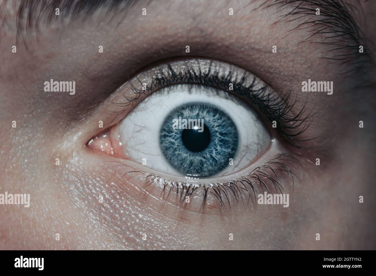 Closeup shot of a blue human eye with veins with scared, surprised