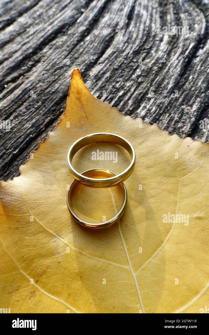 High Angle View Of Wedding Rings On Leaf Stock Photo