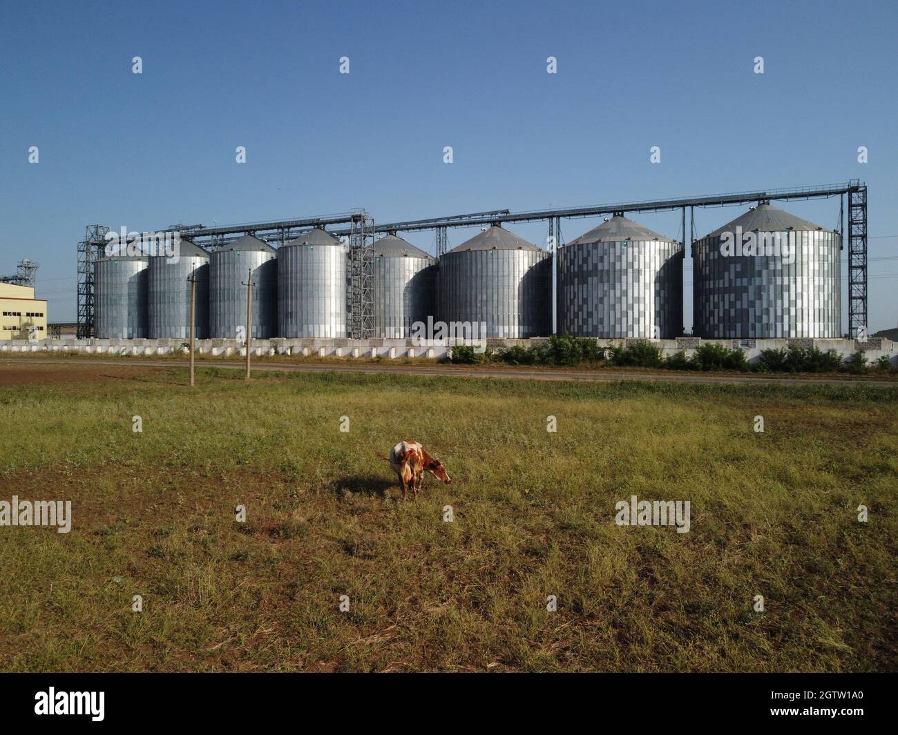Grain elevator. Metal grain elevator in agricultural zone. Agriculture