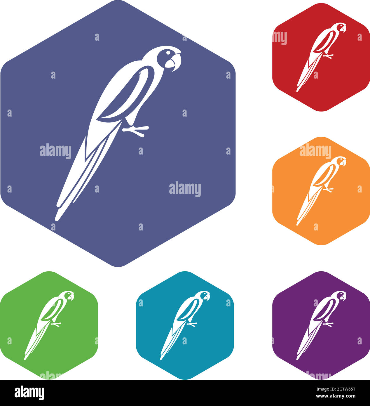 Parrot icons set Stock Vector