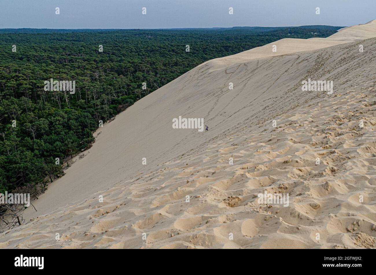 The Dune of Pilat, also called Grande Dune du Pilat, the tallest sand