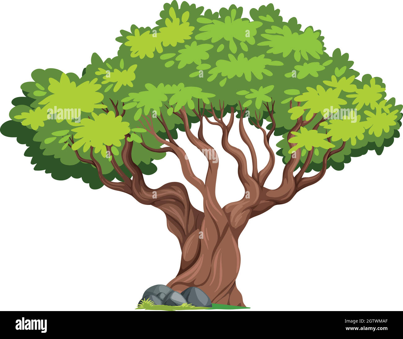 An isolated tree on white background Stock Vector Image & Art - Alamy