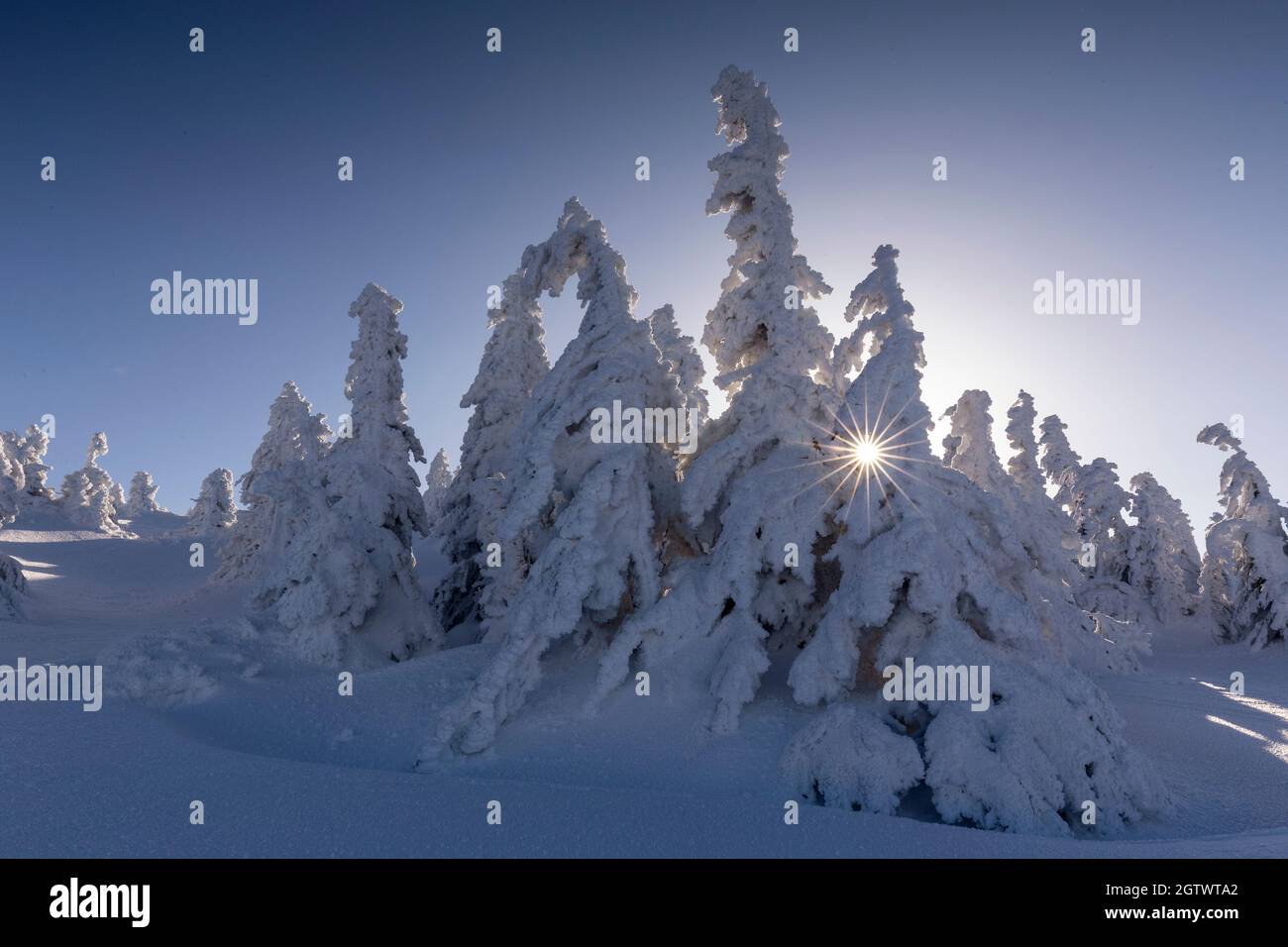 The Beauty Of Winter On The Snowy Mountains With Sunstars. Vladeasa Mountains - Romania Stock Photo