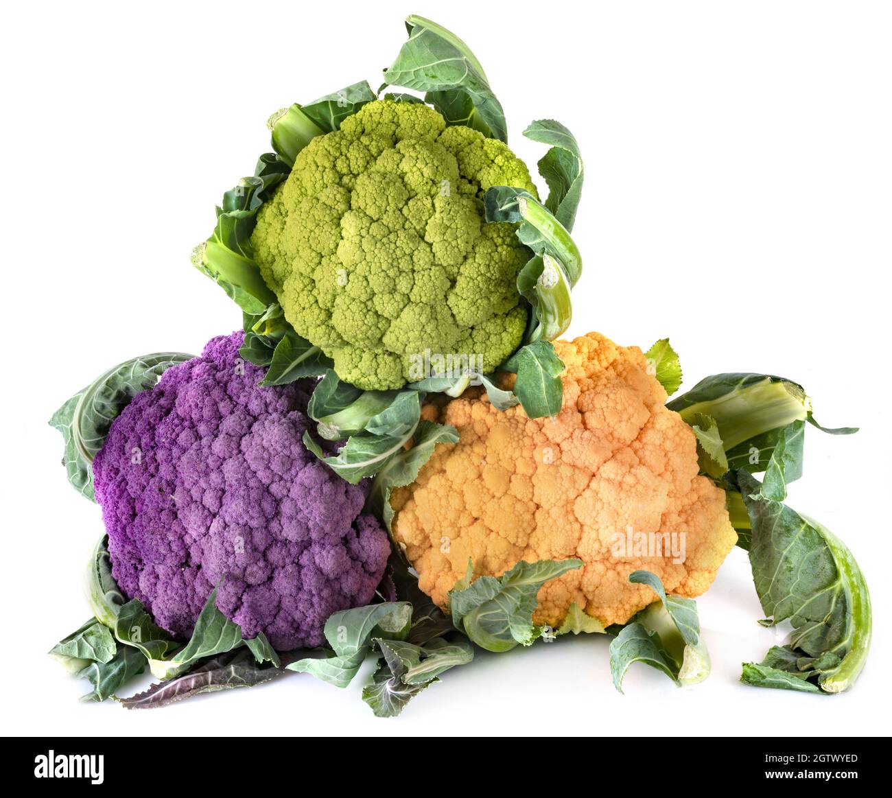 Close-up Of Multi Colored Cauliflowers Against White Background Stock Photo