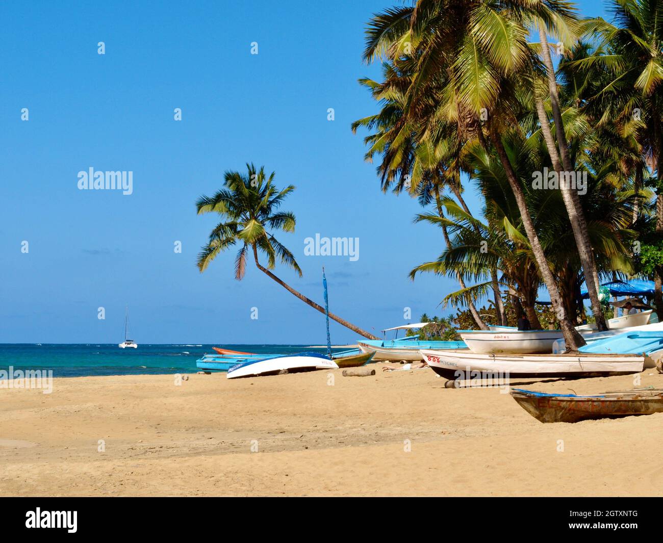 Fishing boats on the beach at Las Terrenas Stock Photo Alamy