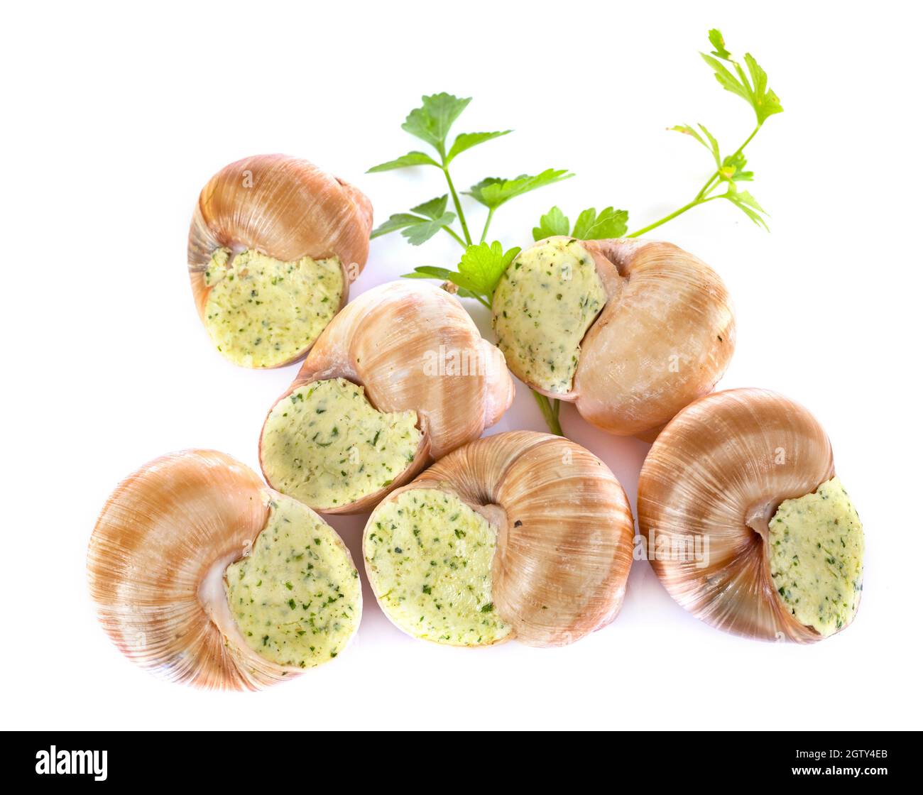 High Angle View Of Vegetables On White Background Stock Photo