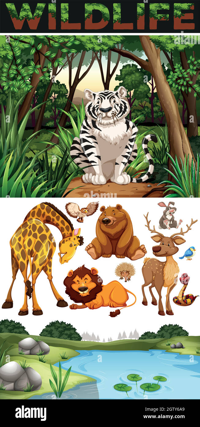 Wild animals in the jungle Stock Vector