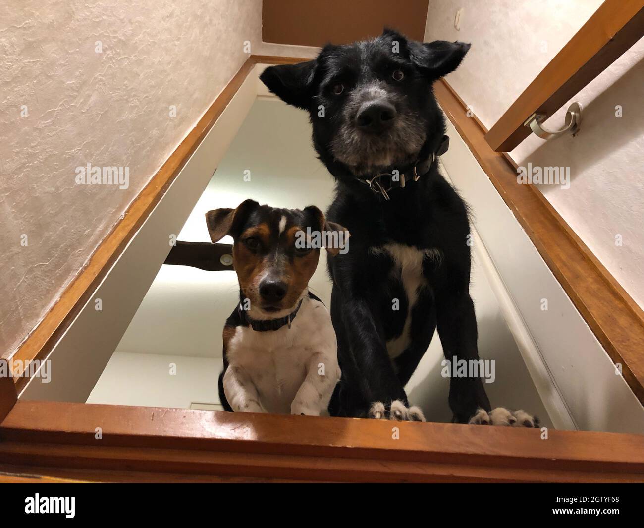 Sitting Downstairs High Resolution Stock Photography and Images Alamy