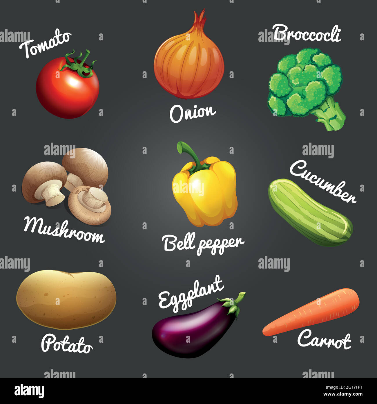 Fresh vegetables with names Stock Vector Image & Art - Alamy