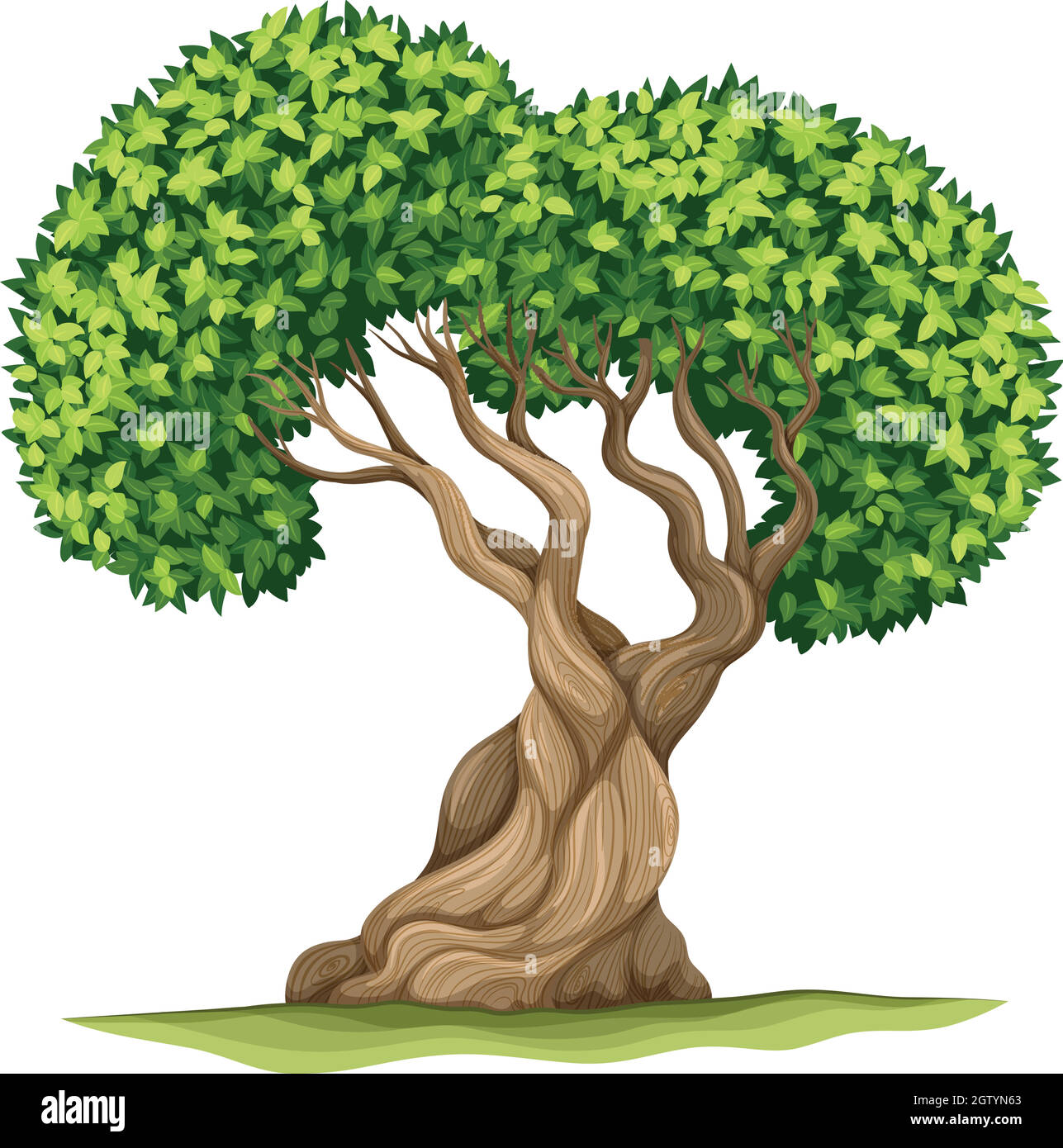 Tree with green leaves Stock Vector Image & Art - Alamy