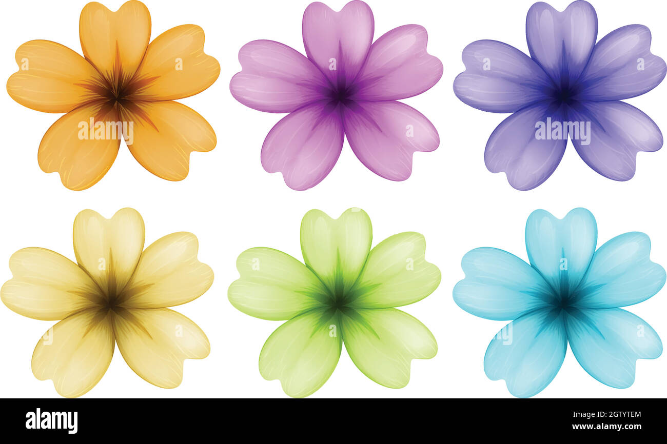 Six colourful and blooming flowers Stock Vector