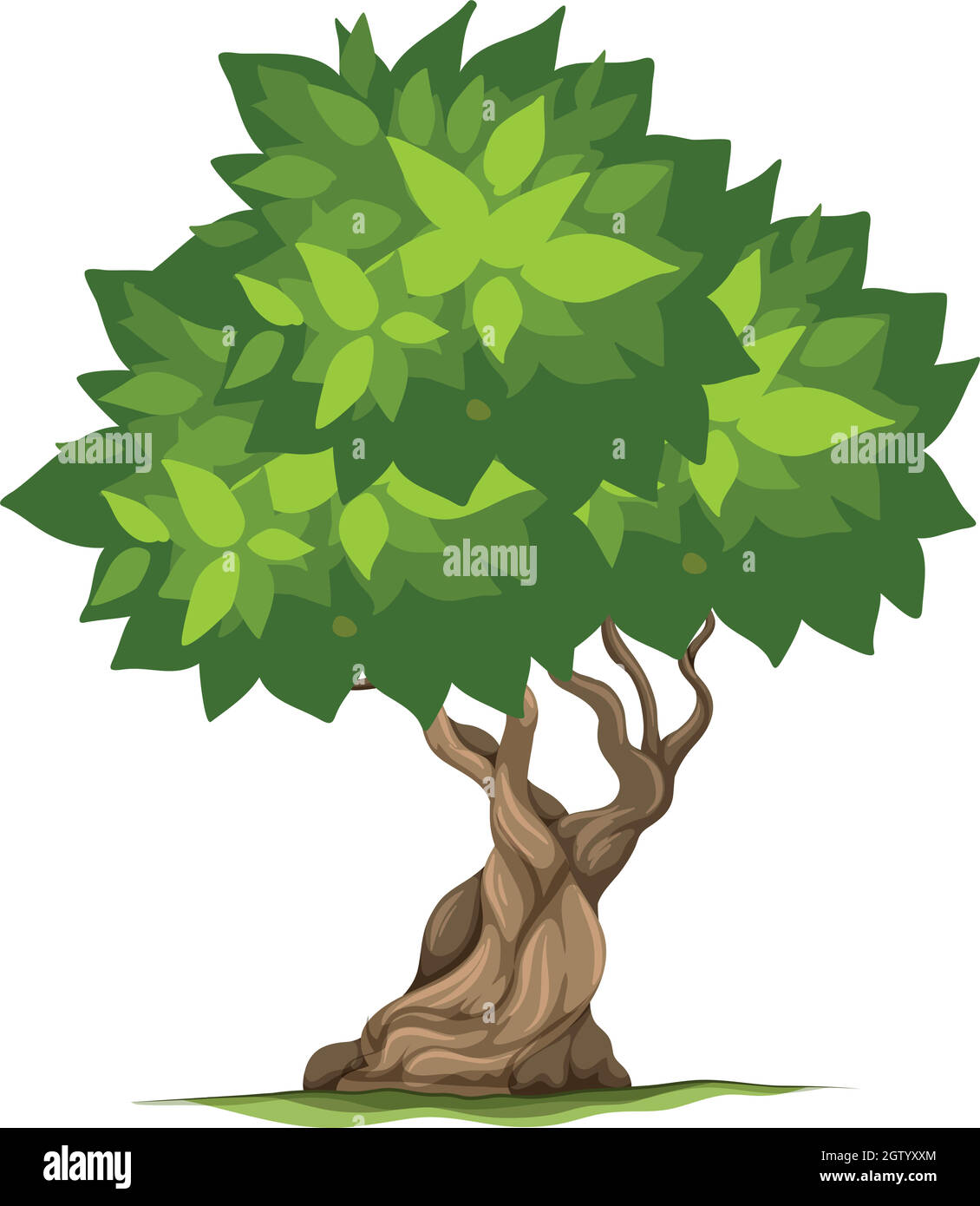 An isolated tree on white background Stock Vector Image & Art - Alamy