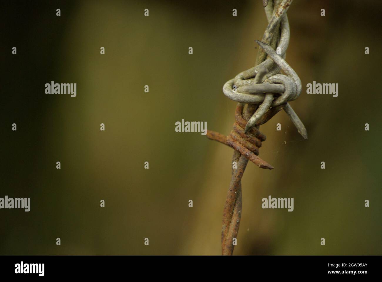 Tied to barbed wire fence hi-res stock photography and images - Alamy