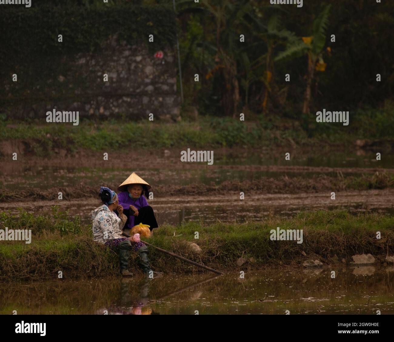 View Of An Elder Farmer In Vietnam Rice Factory Stock Photo