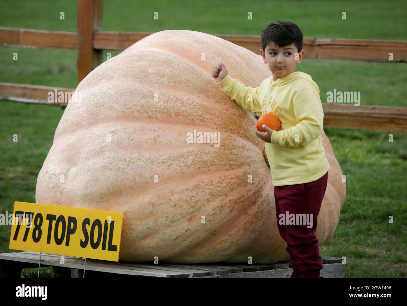 Langley, Canada. 2nd Oct, 2021. A child poses with a giant pumpkin