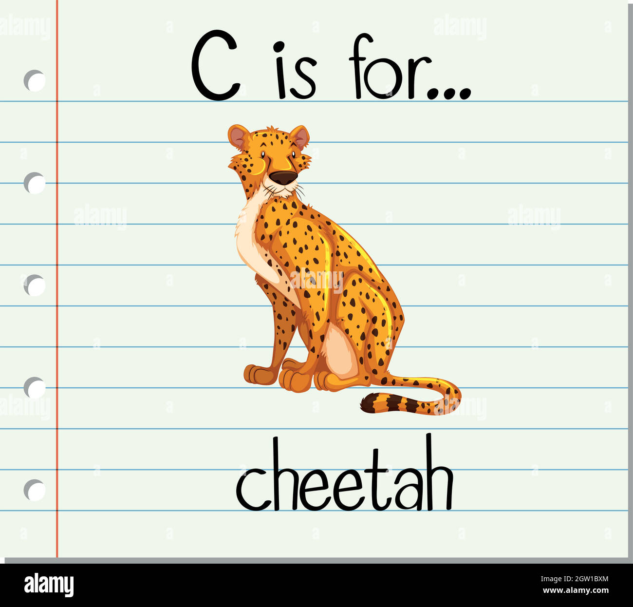 Flashcard letter C is for cheetah Stock Vector