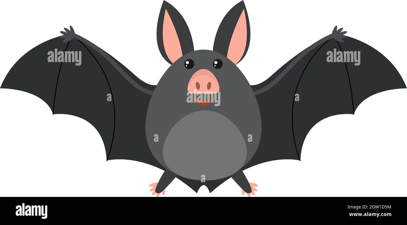 Fat bat hi-res stock photography and images - Alamy