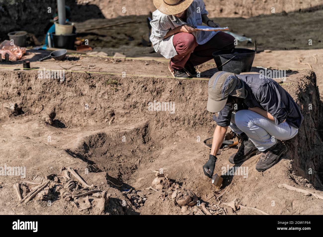 Archaeologist bones tool hires stock photography and images Alamy