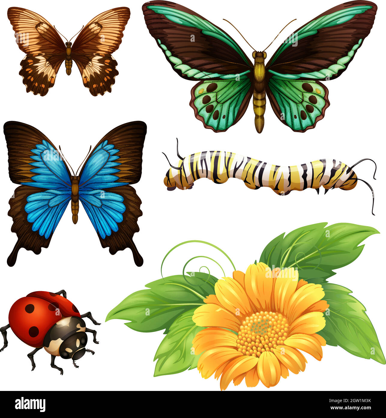 Different kind of butterflies and bugs Stock Vector
