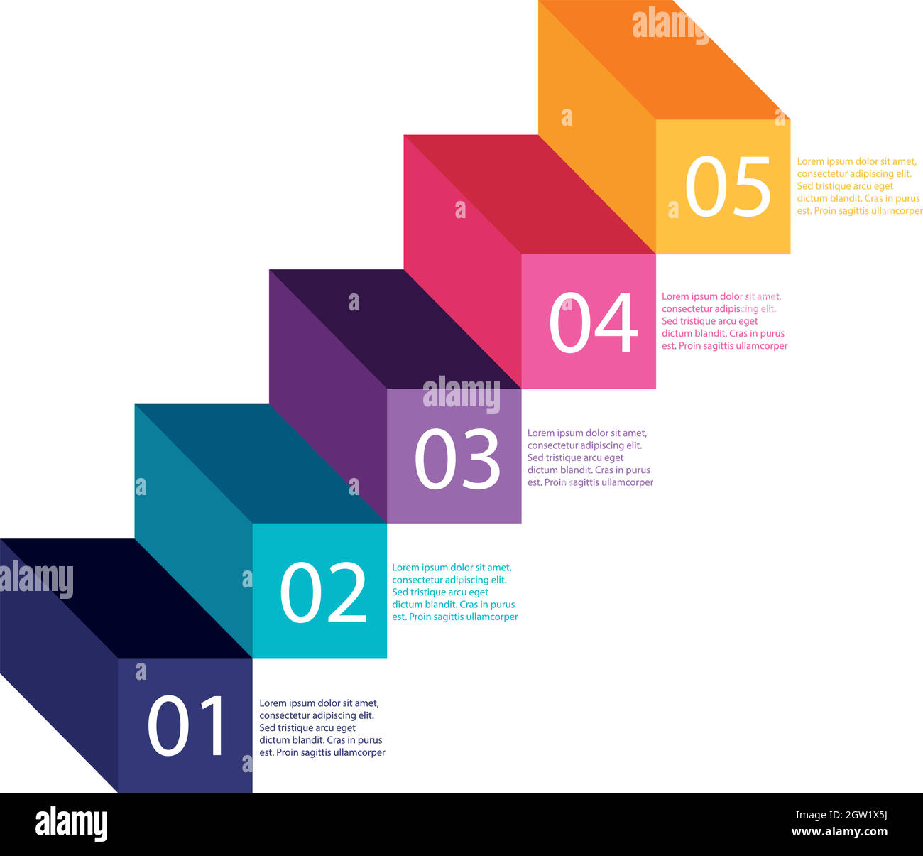 A Colourful Step Information Graph Stock Vector