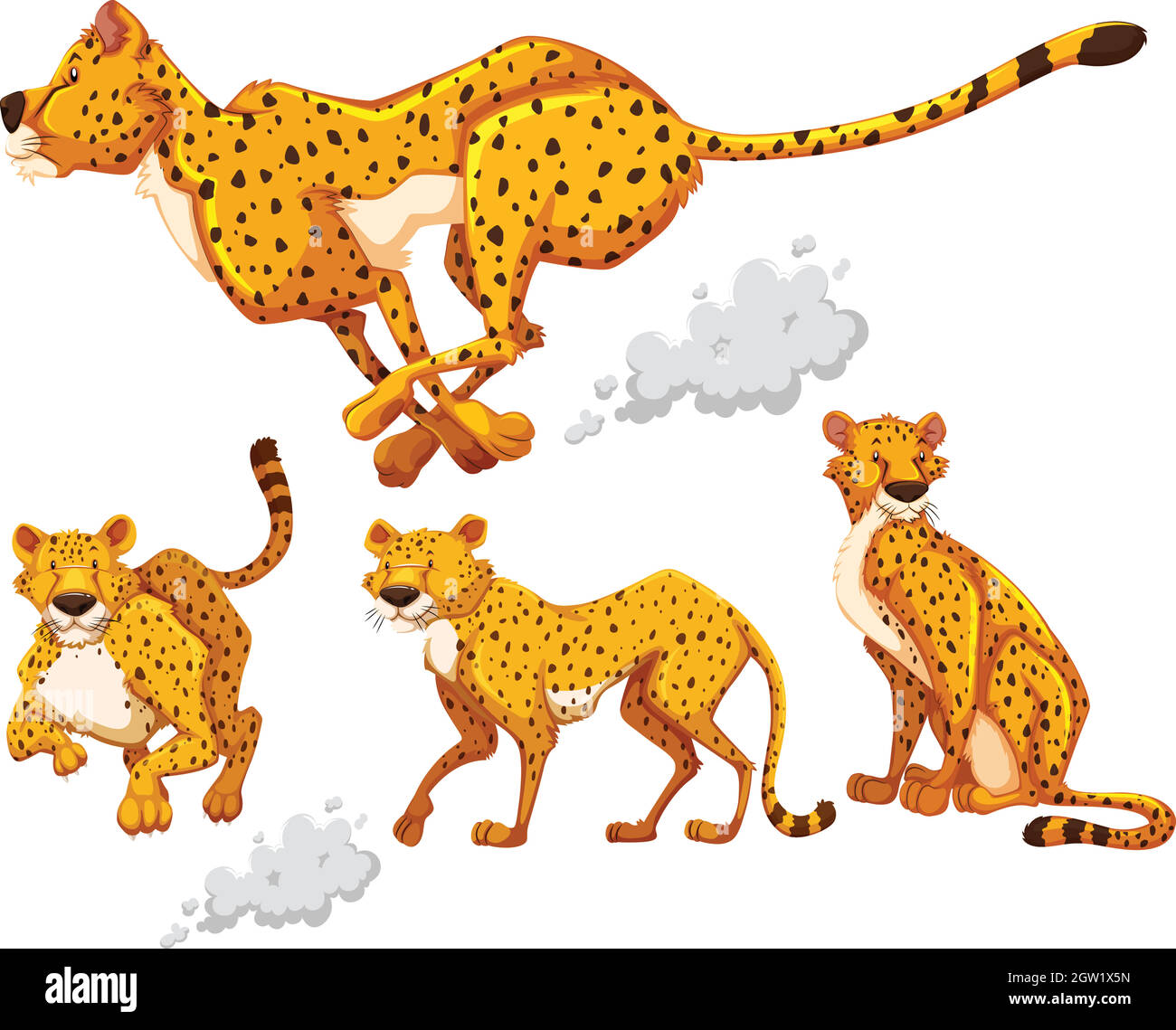 Cheetah in four different actions Stock Vector