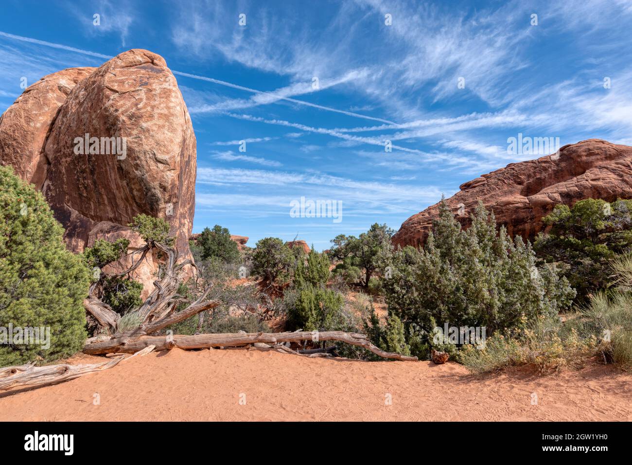 Blue Skies On Desert Stock Photo