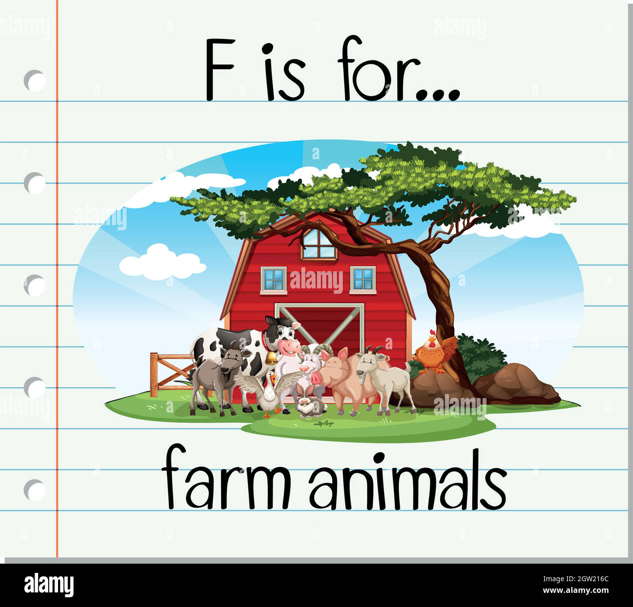 Flashcard letter F is for farm animals Stock Vector