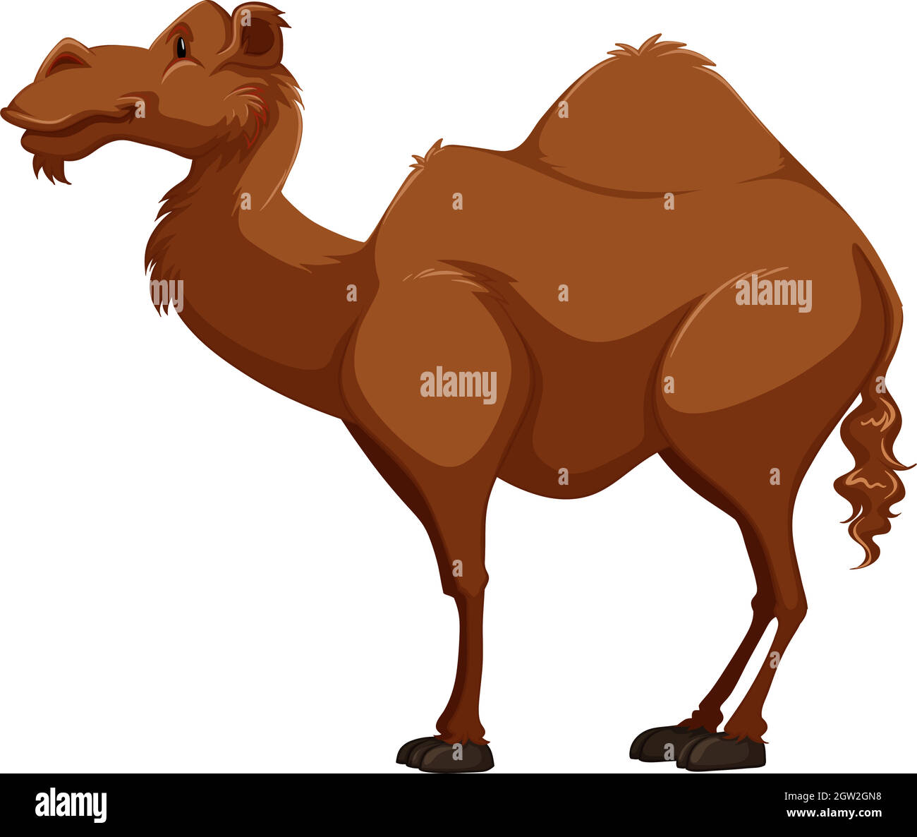 Camel side view cartoon hires stock photography and images Alamy
